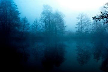 Un étang dans la brume du matin