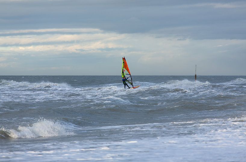 Windsurfer von MSP Canvas