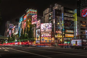 Akihabara, Tokyo by night van Jelmer Laernoes