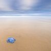 Sands of Time - Cote d'Opale, France van Bas Meelker