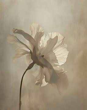 Delicate white flower with unusual light by Studio Allee