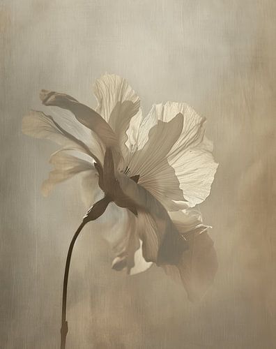 Fleur blanche délicate avec une lumière inhabituelle