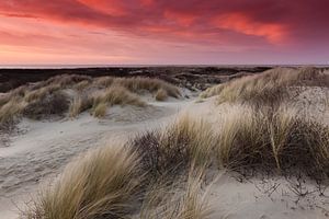 Belle soirée rouge dans le parc Westduin près de Kijkduin, La Haye