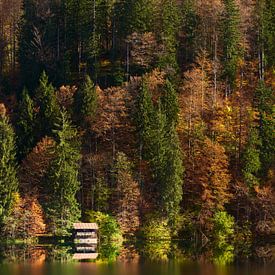 Autumn at the Freibergsee by Max Schiefele