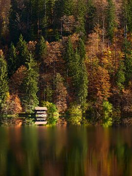 Autumn at the Freibergsee