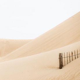 dune minimaliste sur rob creemers