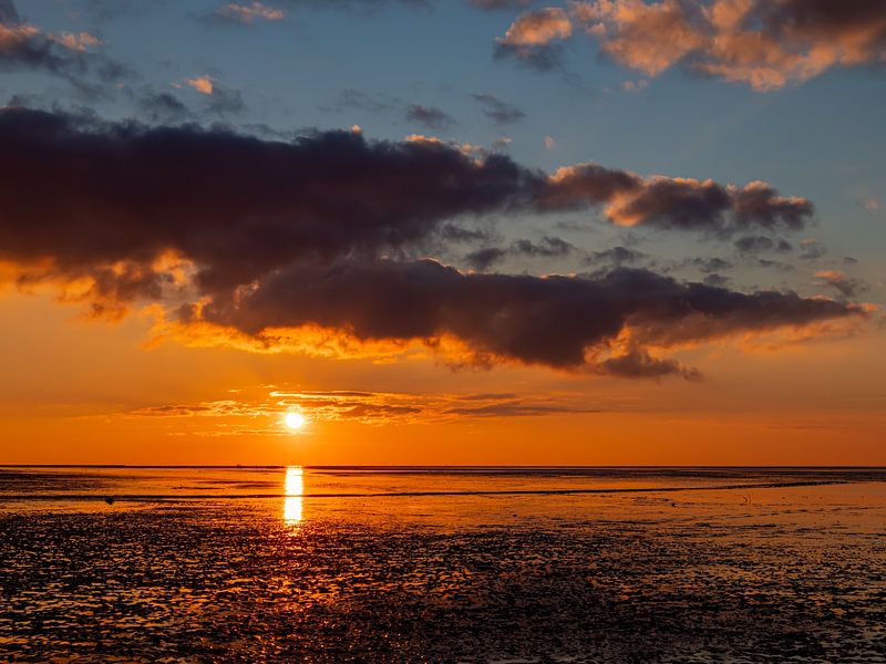 Sunset by the sea by Freya Schiefer