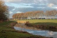 Landscape with Meandering Water and Reflections - Polder landscape by Karin van Es thumbnail