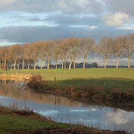 Landschaft mit mäanderndem Wasser und Spiegelungen - Polderlandschaft von Karin van Es