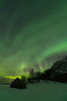 Northern Lights, Aurora Borealis over the Lofoten Islands in Nor