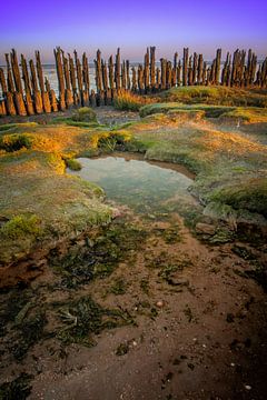 Mud hole by Lisa Antoinette Photography