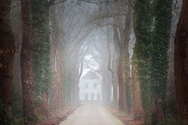 Weißes Bauernhaus in Rheebruggen bei Ansen - Nebliger Morgen mit Baumallee von KB Design & Photography (Karen Brouwer)