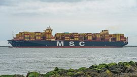 Das Containerschiff MSC Mara. von Jaap van den Berg