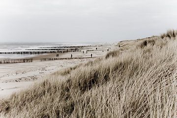Sea, beach and dunes by Wilco Schippers