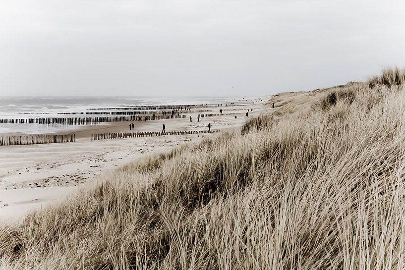 Sea, beach and dunes von Wilco Schippers