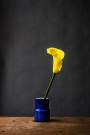 Fleur jaune dans un vase bleu