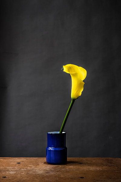 Gelbe Blume in blauer Vase von Jenneke Boeijink