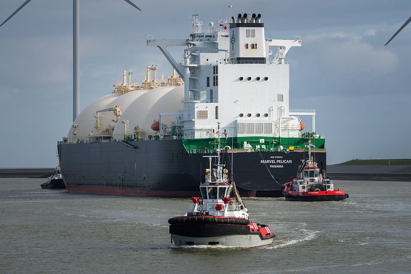 Tugs Waterstream and Waterlines with Marvel Pelican by Jan Georg Meijer