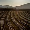 Rows of peat in Ireland by Bo Scheeringa Photography