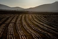 Rows of peat in Ireland by Bo Scheeringa Photography thumbnail