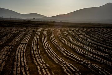 Rijen turf in Ierland van Bo Scheeringa Photography
