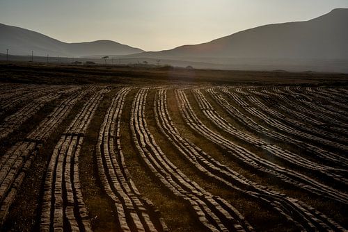 Rows of peat in Ireland