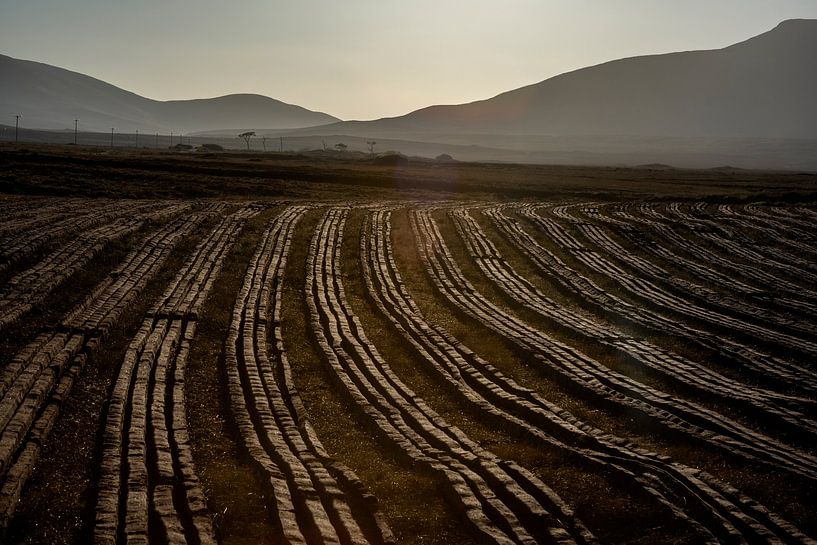 Rows of peat in Ireland by Bo Scheeringa Photography