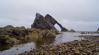 Bow Fiddle Rock Felsbogen in Schottland von Babetts Bildergalerie Miniaturansicht