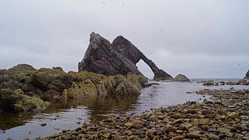 Bow Fiddle Rock Rotsboog in Schotland