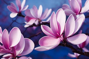 Roze magnolia-bloesems in de lente, Kunstillustratie 02 van Animaflora PicsStock