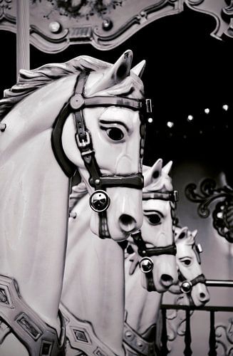 Carousel in Black and White