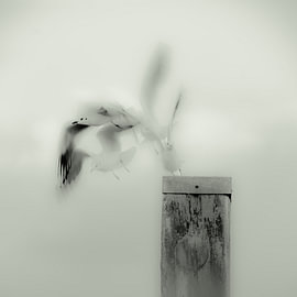 Atterrissage en silence