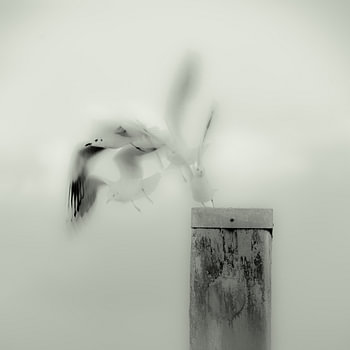A quiet landing