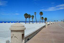 Curved by Frank's Awesome Travels