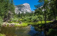 Yosemite Mirror Lake von Ilya Korzelius Miniaturansicht
