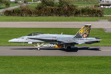 Boeing F/A-18C Hornet van de Zwitserse Luchtmacht. van Jaap van den Berg