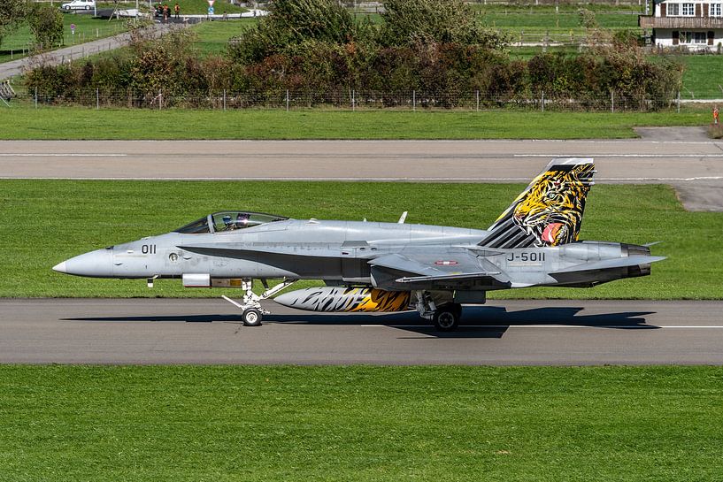 Boeing F/A-18C Hornet der Schweizer Luftwaffe. von Jaap van den Berg