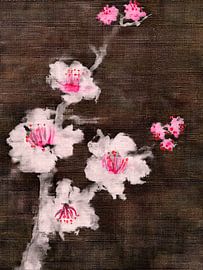 Fleurs de cerisier japonais sur fond de lin foncé sur Studio Pieternel