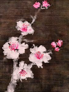 Japanische Kirschblüten auf dunklem Leinenhintergrund