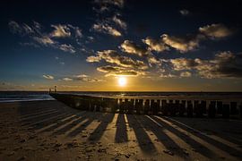 Shadows van Linda Raaphorst