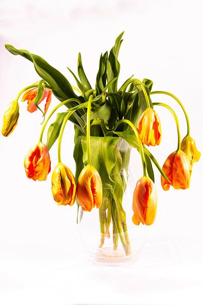 Still life of french tulips in glass vase by Roland de Zeeuw