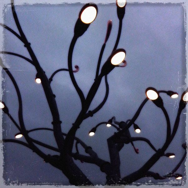 Lichtjesboom van Kuba Bartyński