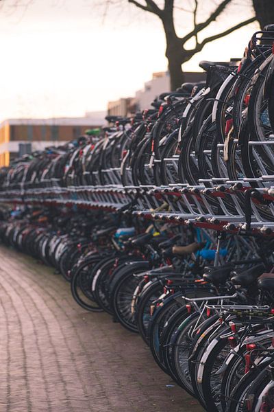 Amsterdam by Hello Pompoyo