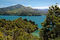 Marlborough Sounds, Nieuw Zeeland
