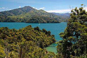 Marlborough Sounds, Neuseeland