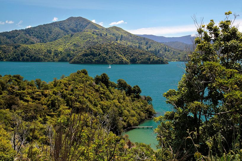 Marlborough Sounds, Nieuw Zeeland van Christian Müringer