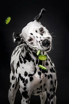 Dog with cucumber 3/3 by Lotte van Alderen