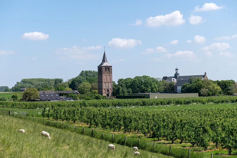 Old Tower and St Anthony of Padua Church by Richard Wareham