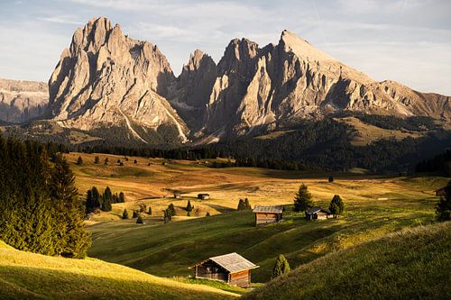Alpe di Siusi - Seiseralm - Dolomiten