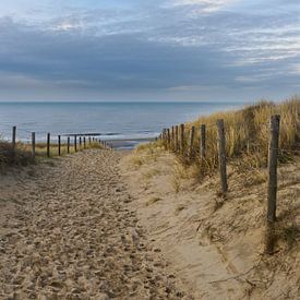 Dune path Zeereep Katwijk by Pictures by Van Haestregt